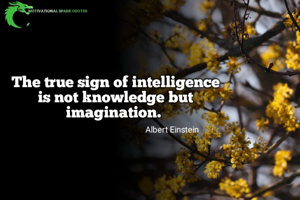 imagination and inteligence quotes