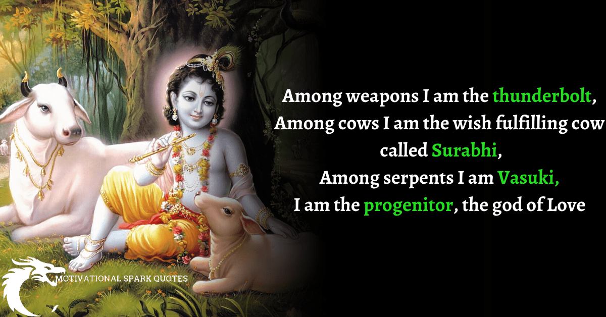 lord Krishna quotes on love-quotes on lord krishna